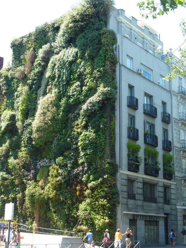 Jardines verticales - Jardines verticales en Madrid de bajo mantenimiento